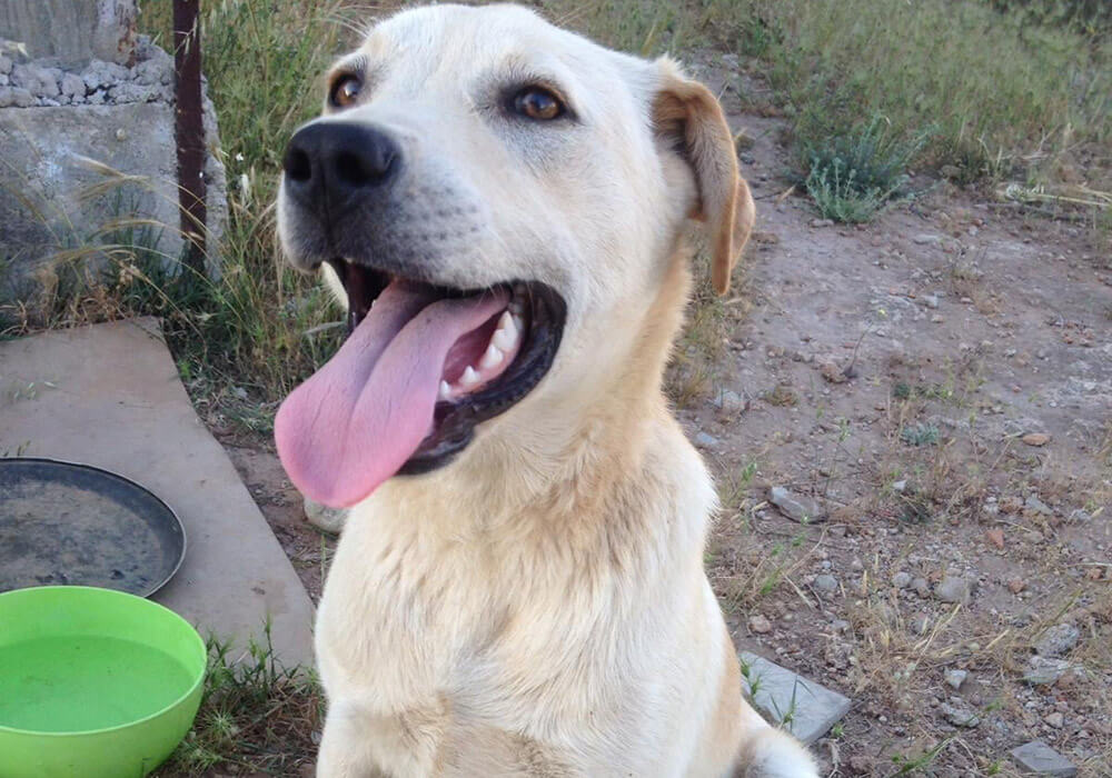 Yuma