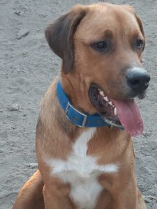 Odin – Bild 1