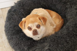 Clara – Bild 5