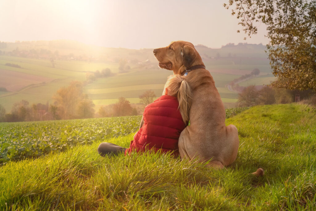 Hund auf Pflegestelle