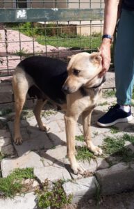 Bella – Bild 5