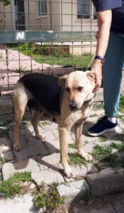 Bella – Bild 7
