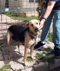 Bella – Bild 1