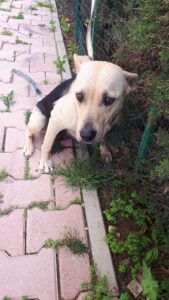 Bella – Bild 10