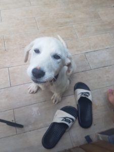 Bali – Bild 2