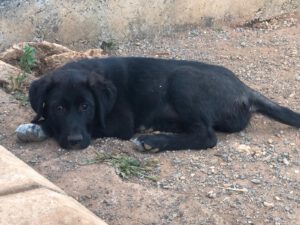 Sally – Bild 1
