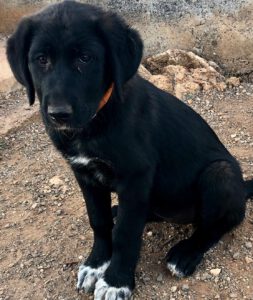 Sally – Bild 4