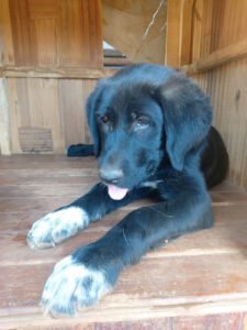 Sally – Bild 3