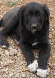 Sally – Bild 2