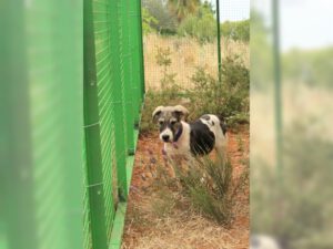 Freddy – Bild 14