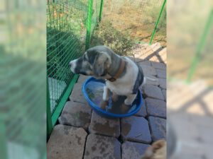 Freddy – Bild 12