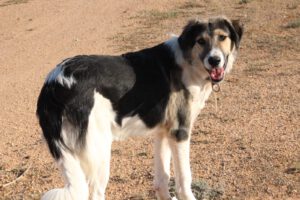 Freddy – Bild 11