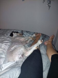 Dusty – Bild 4