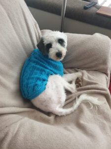 Dusty – Bild 10