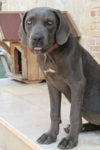 Arya – Bild 9