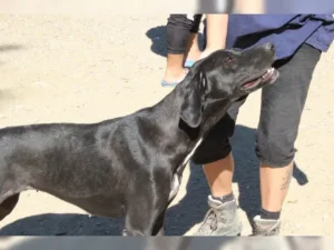 Lea – Bild 10
