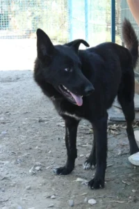 Malou – Bild 2