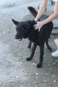 Malou – Bild 3