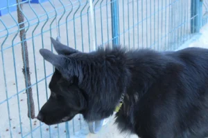 Malou – Bild 4