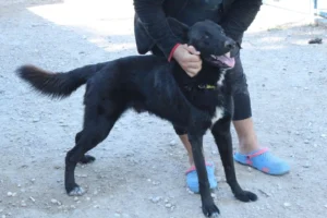 Malou – Bild 5