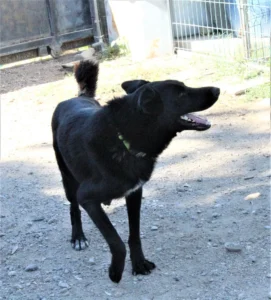 Malou – Bild 6