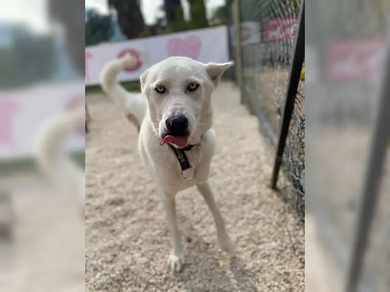 Zeus