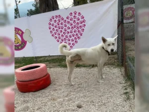 Zeus – Bild 9