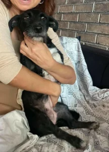 Lucie – Bild 3