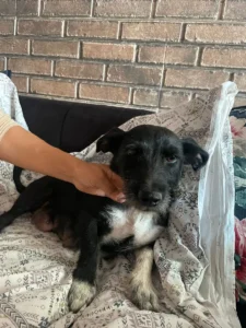 Lucie – Bild 1