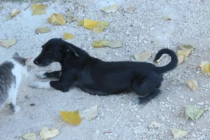 Lucie – Bild 2