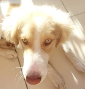 Finn – Bild 7