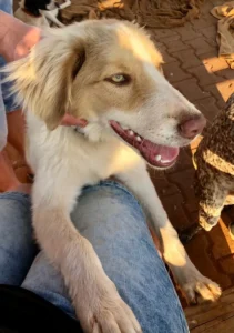 Finn – Bild 6