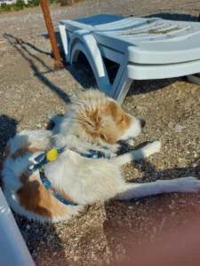 Finn – Bild 4