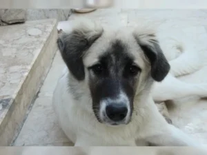 Ronja – Bild 11