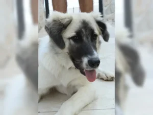 Ronja – Bild 10
