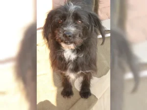 Patti – Bild 9