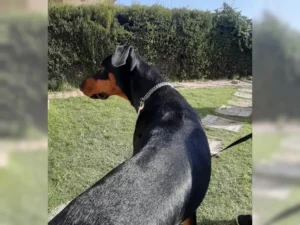 Willy – Bild 6