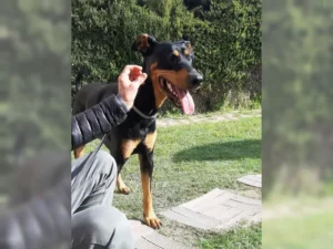 Willy – Bild 8