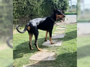 Willy – Bild 10