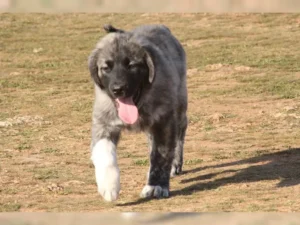 Luke – Bild 3
