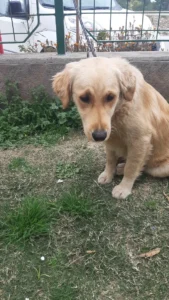 Finja – Bild 3