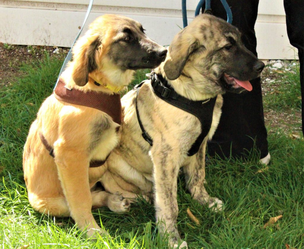 Lulu und Poseidon