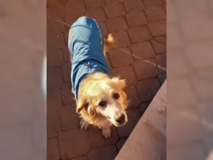 Timon – Bild 4