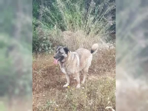 Finja – Bild 3