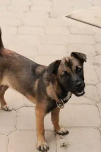 Cleo – Bild 4