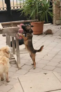 Cleo – Bild 2