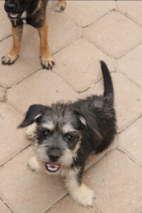 Coco – Bild 9