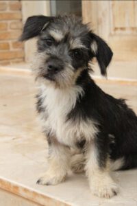Coco – Bild 6