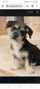 Coco – Bild 7