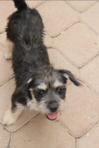 Coco – Bild 2
